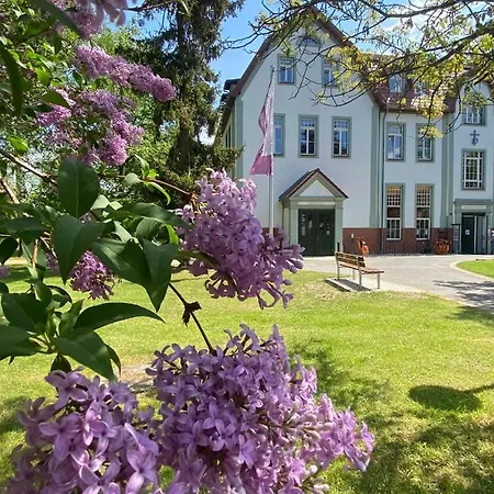 Diakonie St Martin فندق *