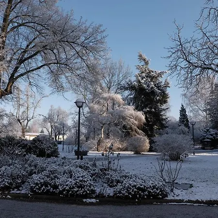 Diakonie St Martin فندق